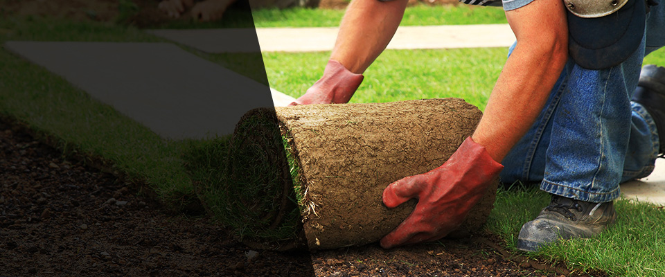 Roslyn Heights Landscapers